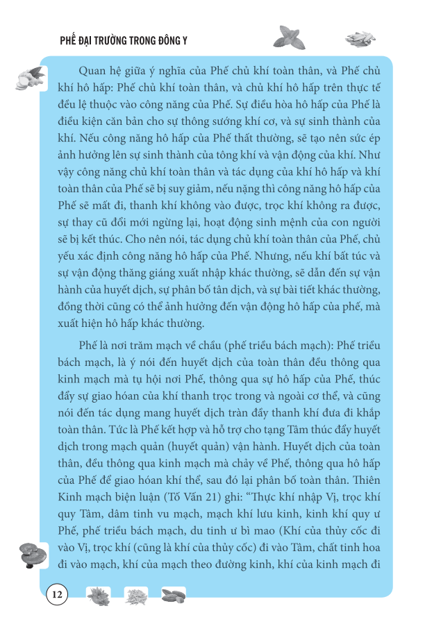 phế đại trường trong đông y - Ảnh 12