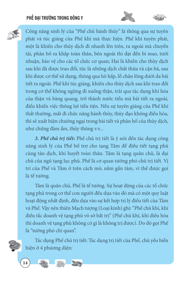 phế đại trường trong đông y - Ảnh 14