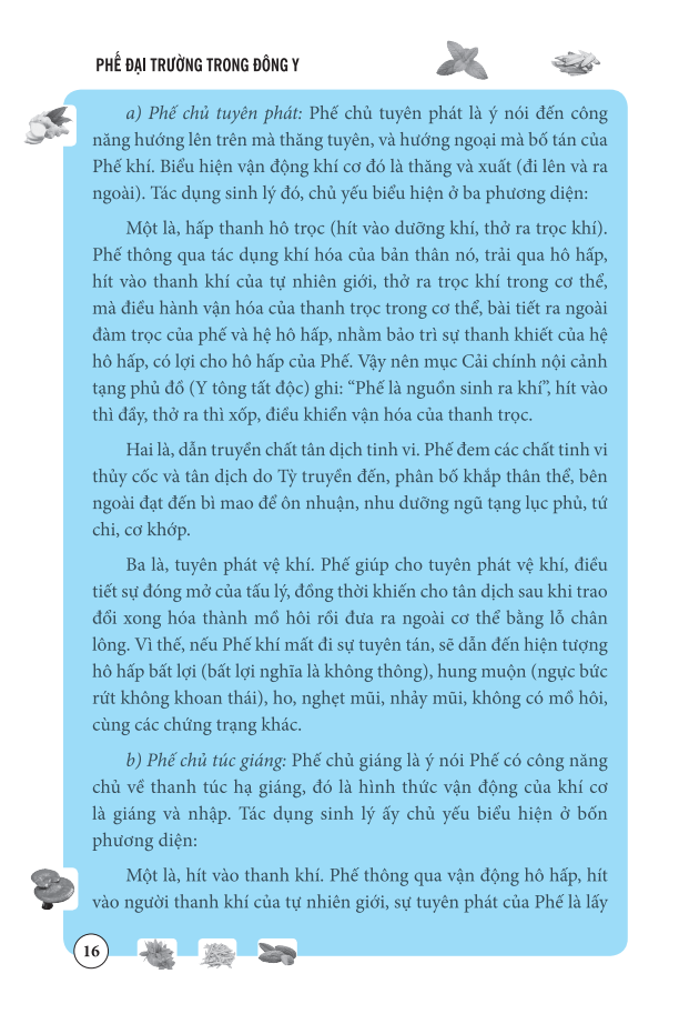 phế đại trường trong đông y - Ảnh 16