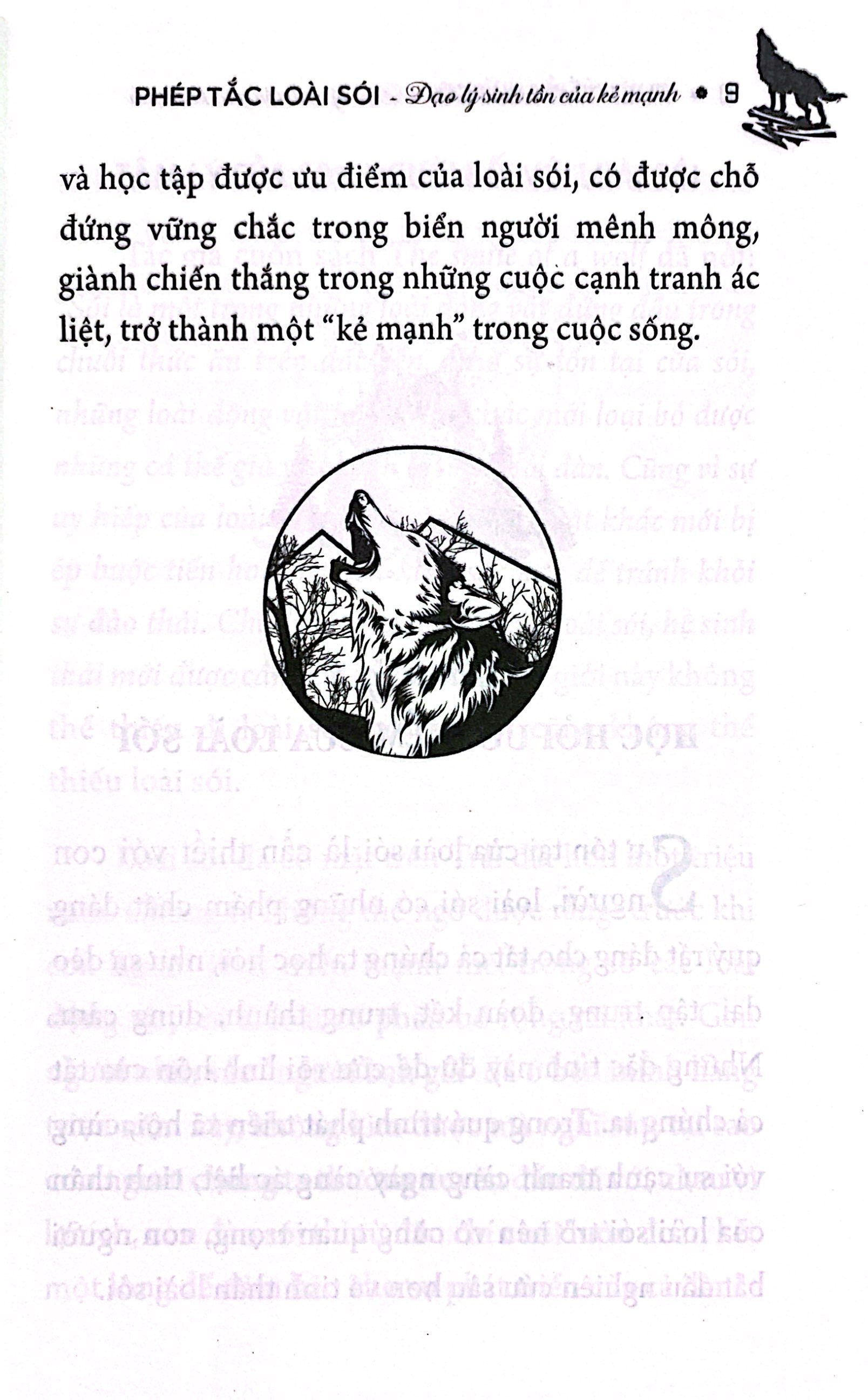 phép tắc loài sói - đạo lý sinh tồn của kẻ mạnh - Ảnh 13