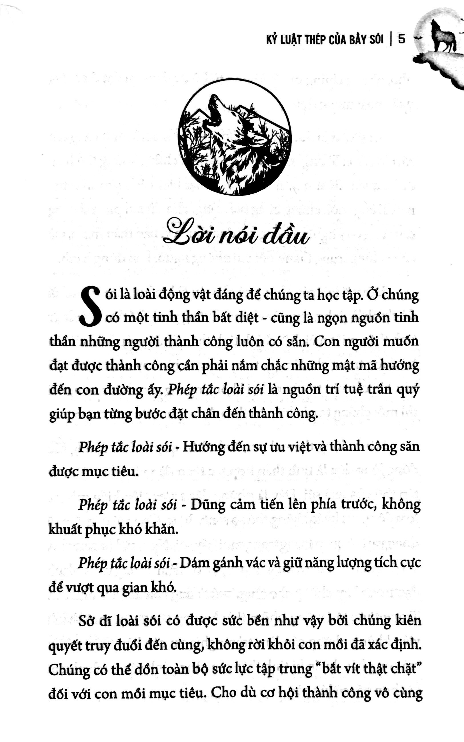 phép tắc loài sói - đạo lý sinh tồn của kẻ mạnh - Ảnh 4