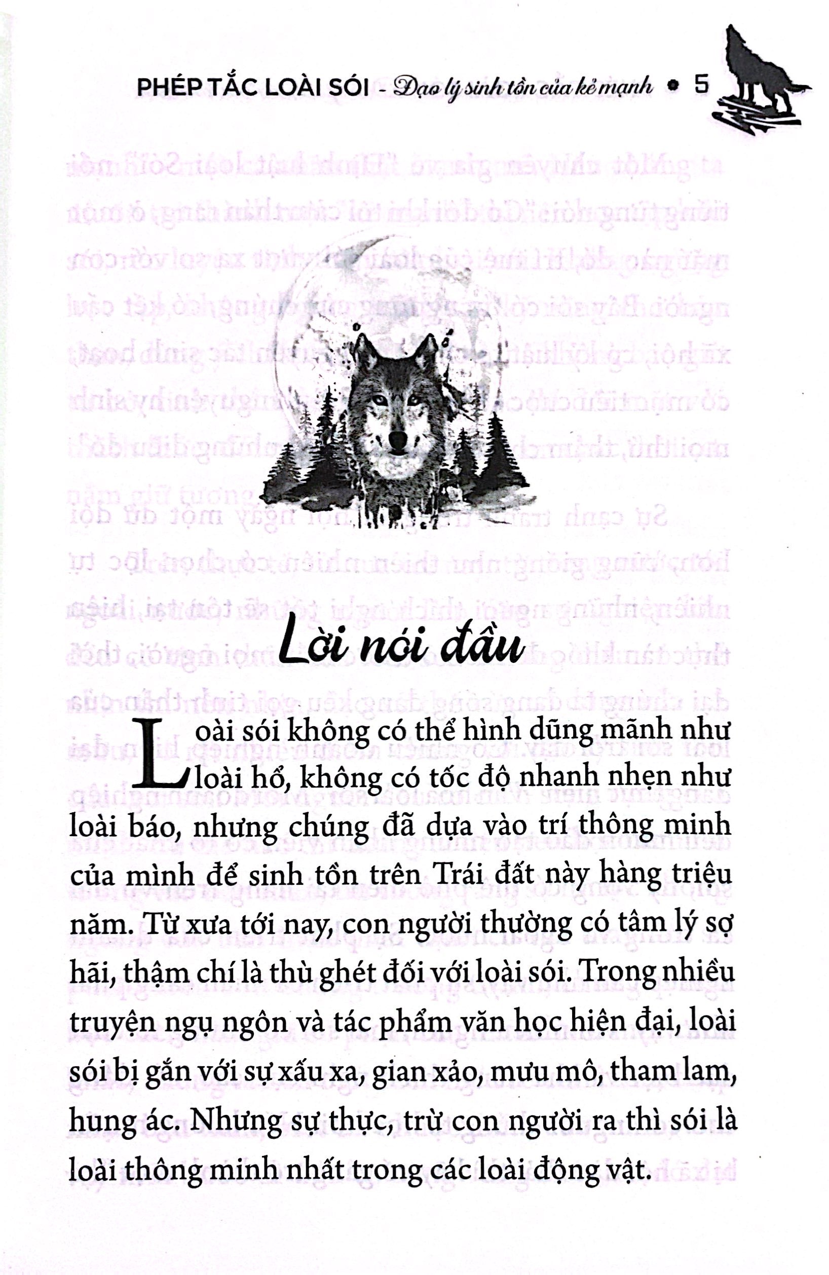 phép tắc loài sói - đạo lý sinh tồn của kẻ mạnh - Ảnh 5