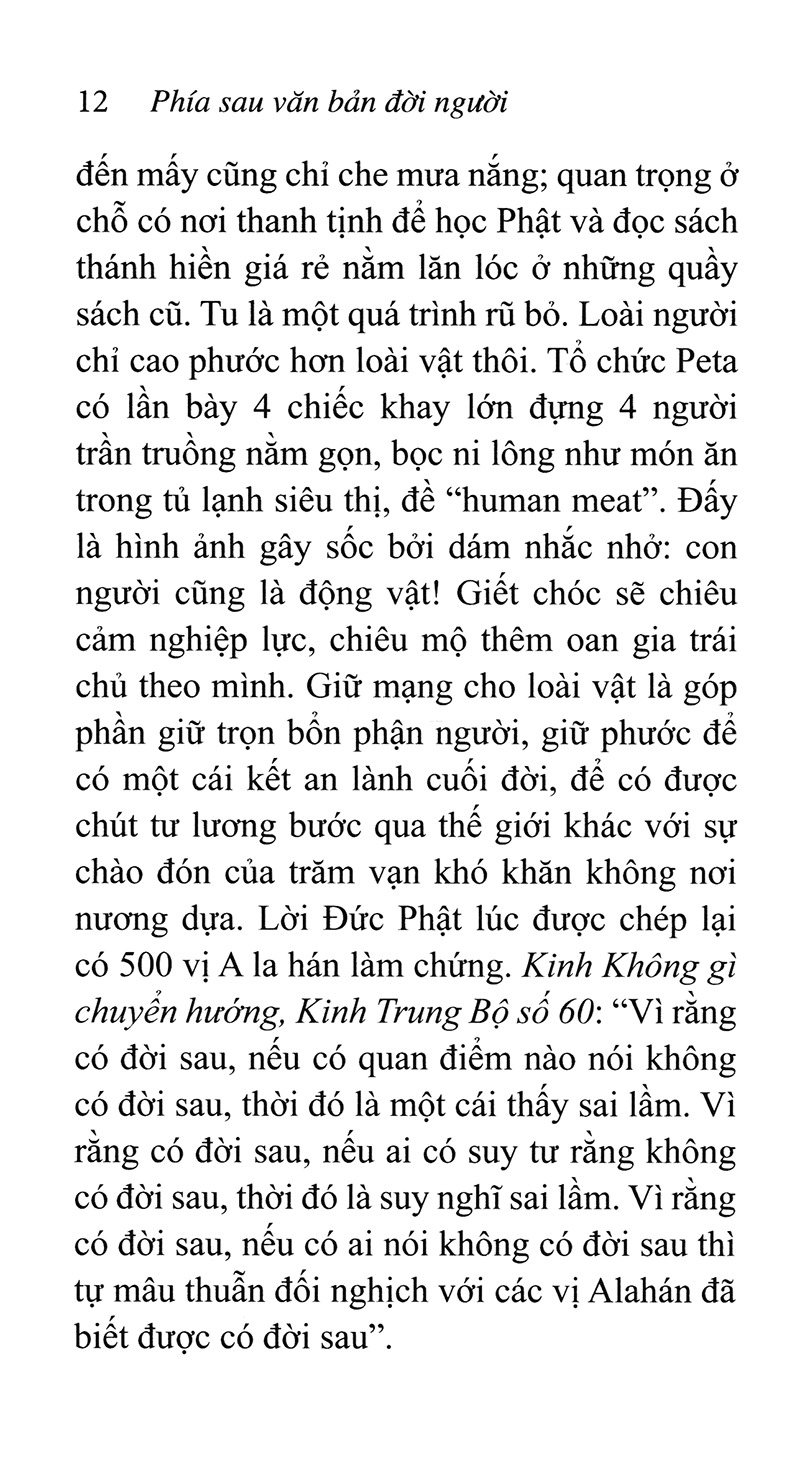 phía sau văn bản đời người - Ảnh 9