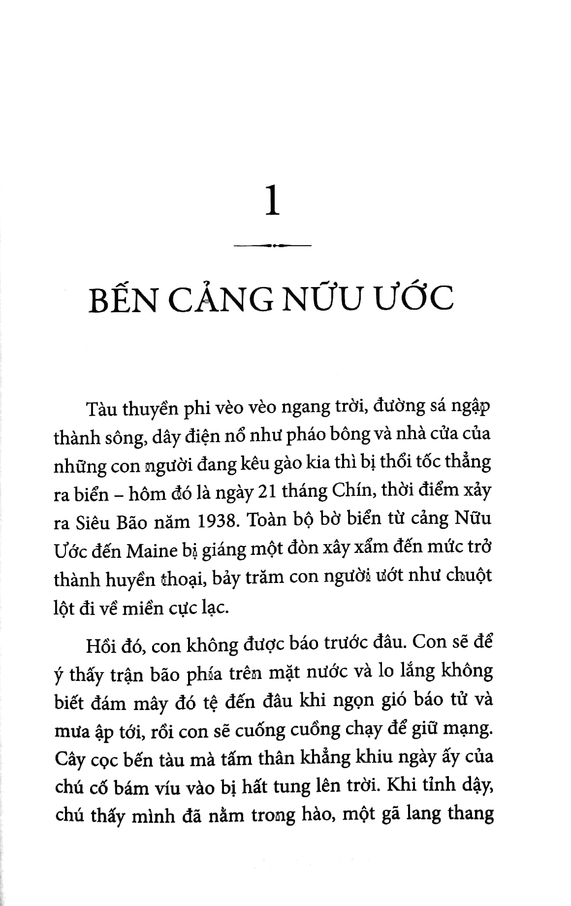 phía tây có đàn hươu cao cổ - west with giraffes - Ảnh 7