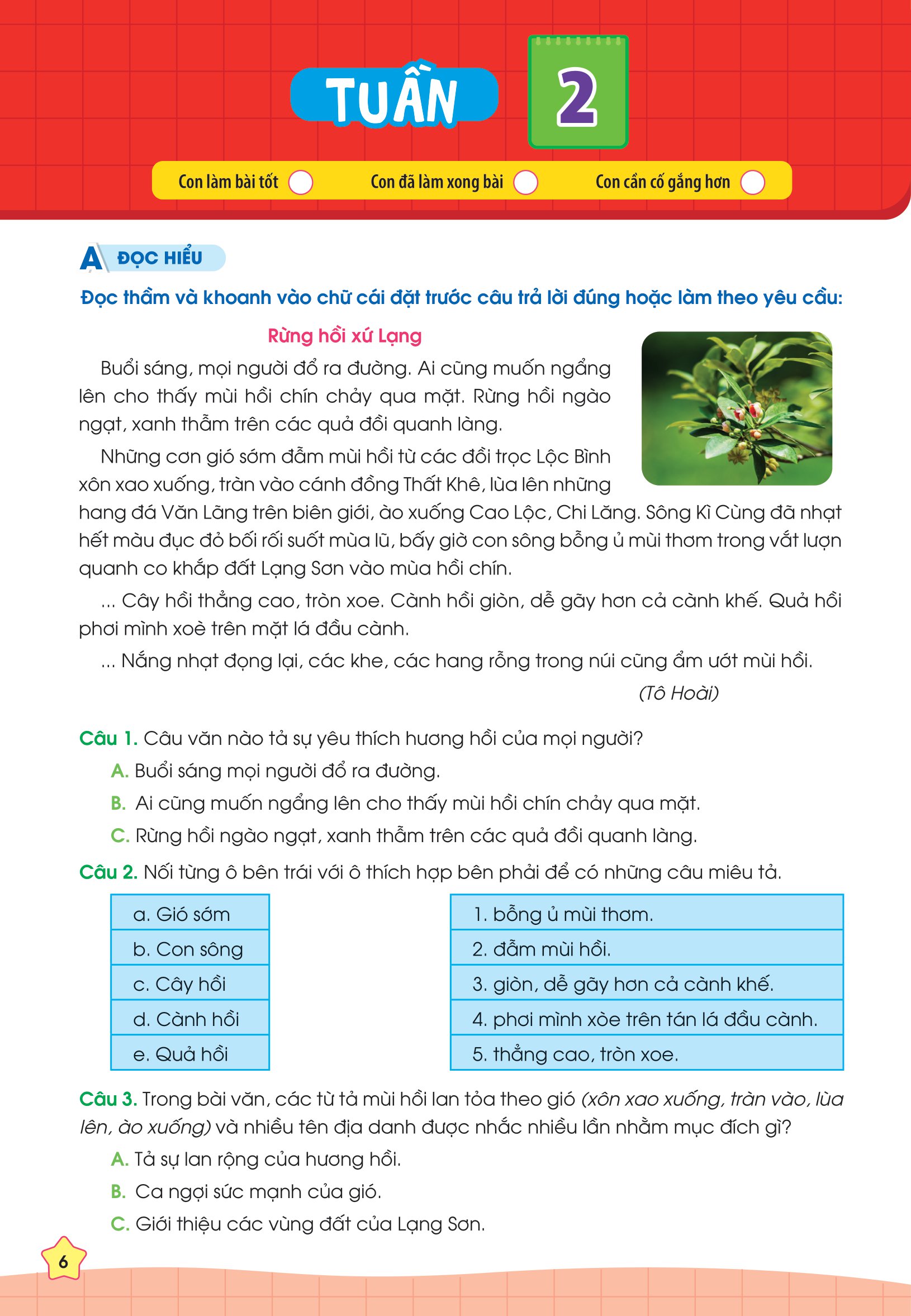 phiếu bài tập cuối tuần tiếng việt 3 - Ảnh 7