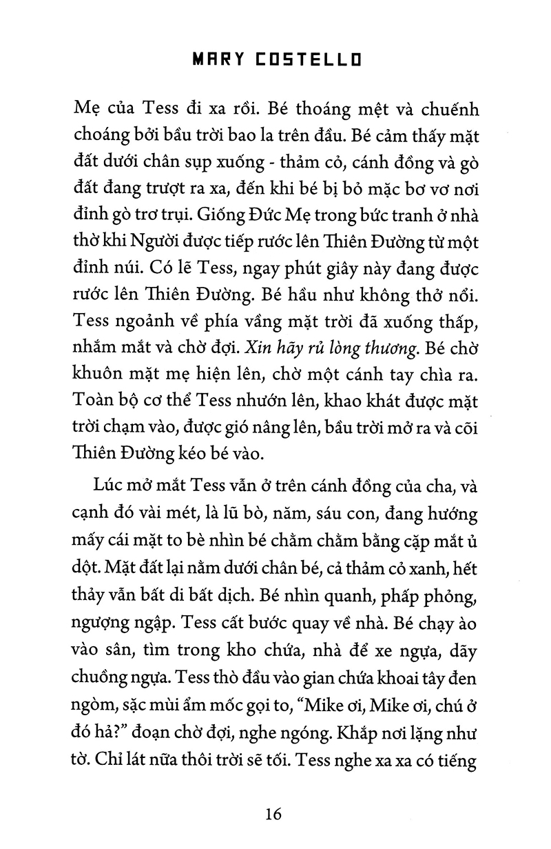 phố academy - Ảnh 11