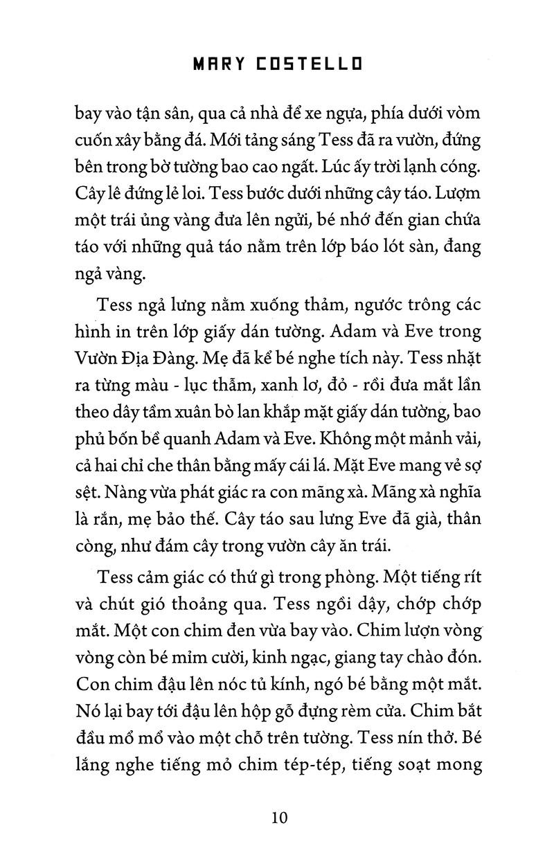 phố academy - Ảnh 5