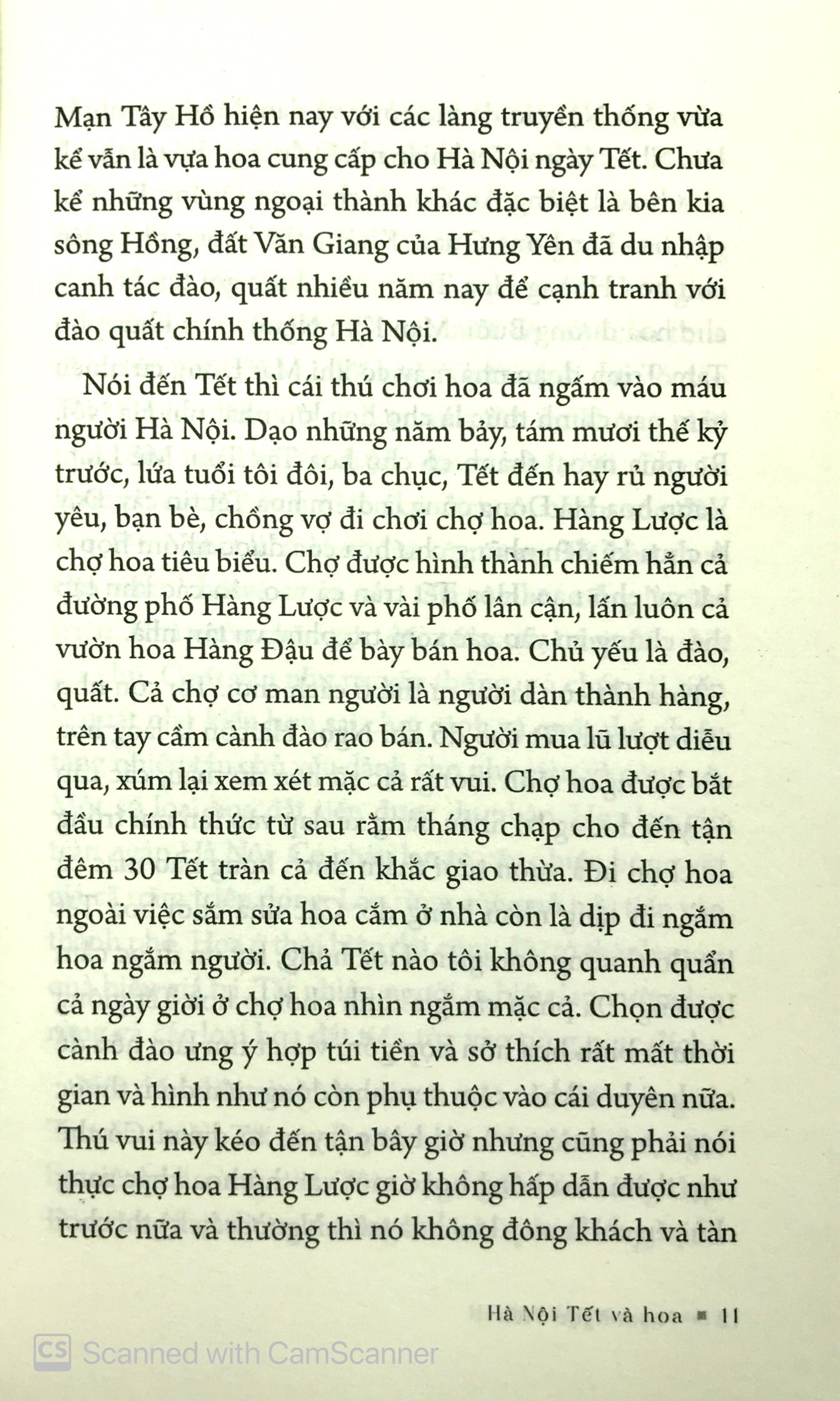 phố phở phố có nhà to - Ảnh 10