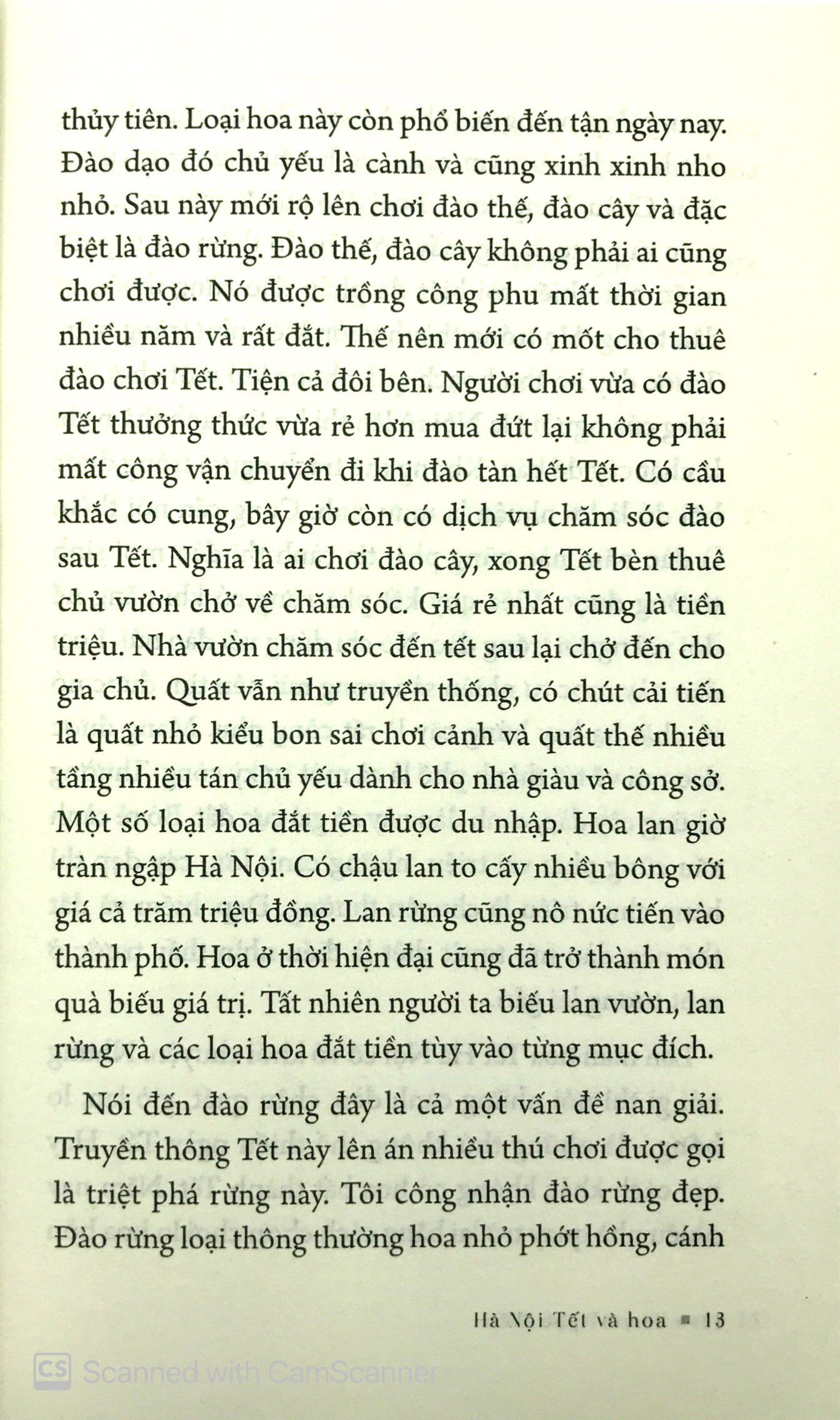 phố phở phố có nhà to - Ảnh 12