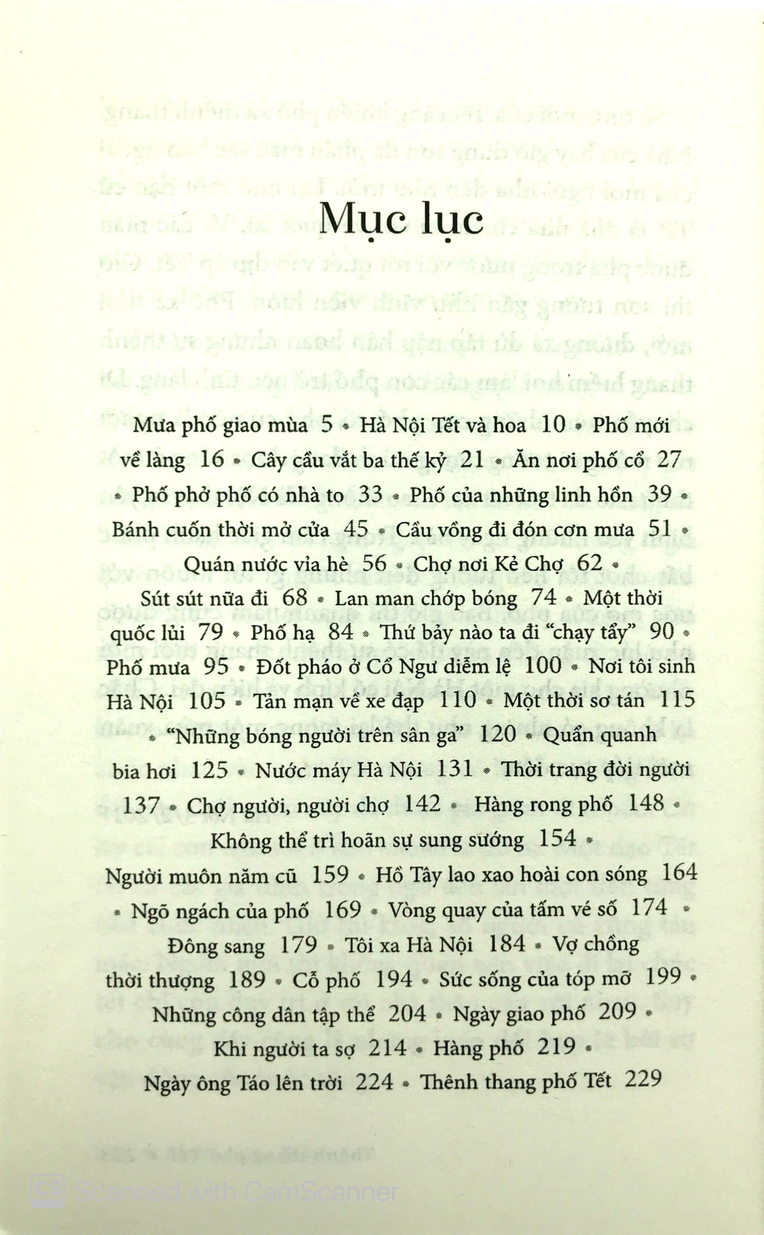 phố phở phố có nhà to - Ảnh 3