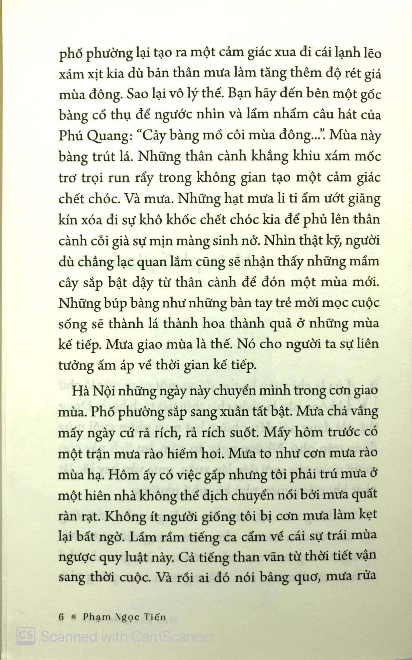 phố phở phố có nhà to - Ảnh 5