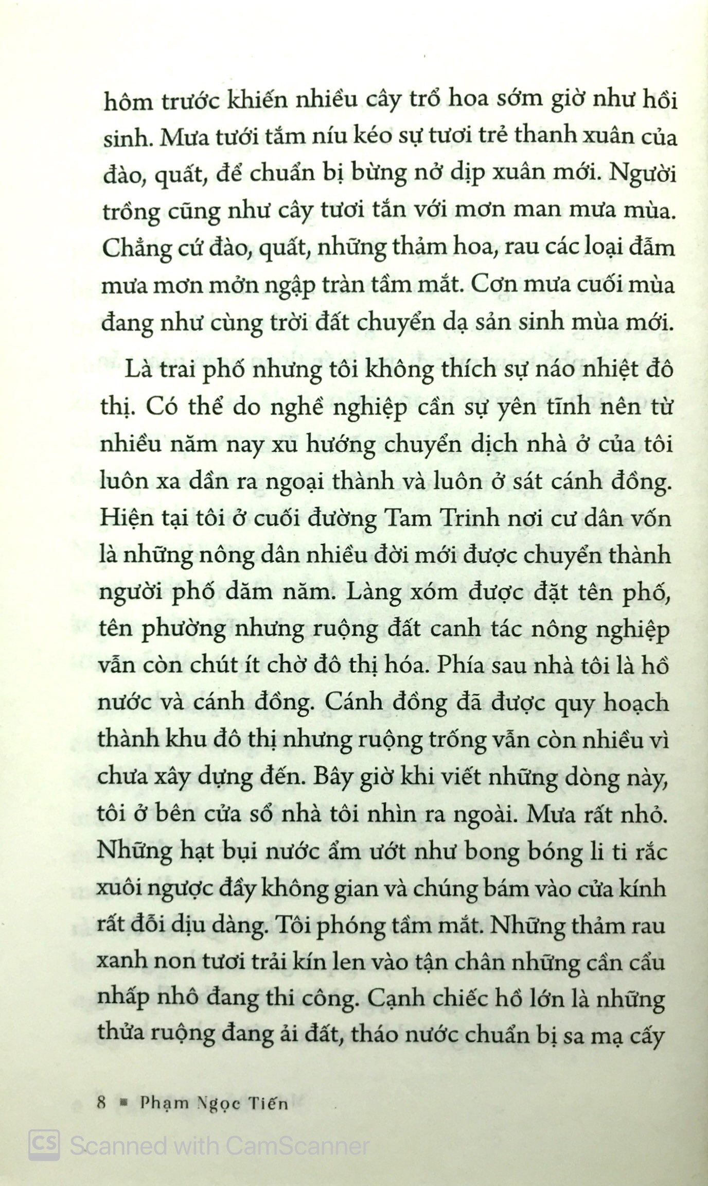 phố phở phố có nhà to - Ảnh 7