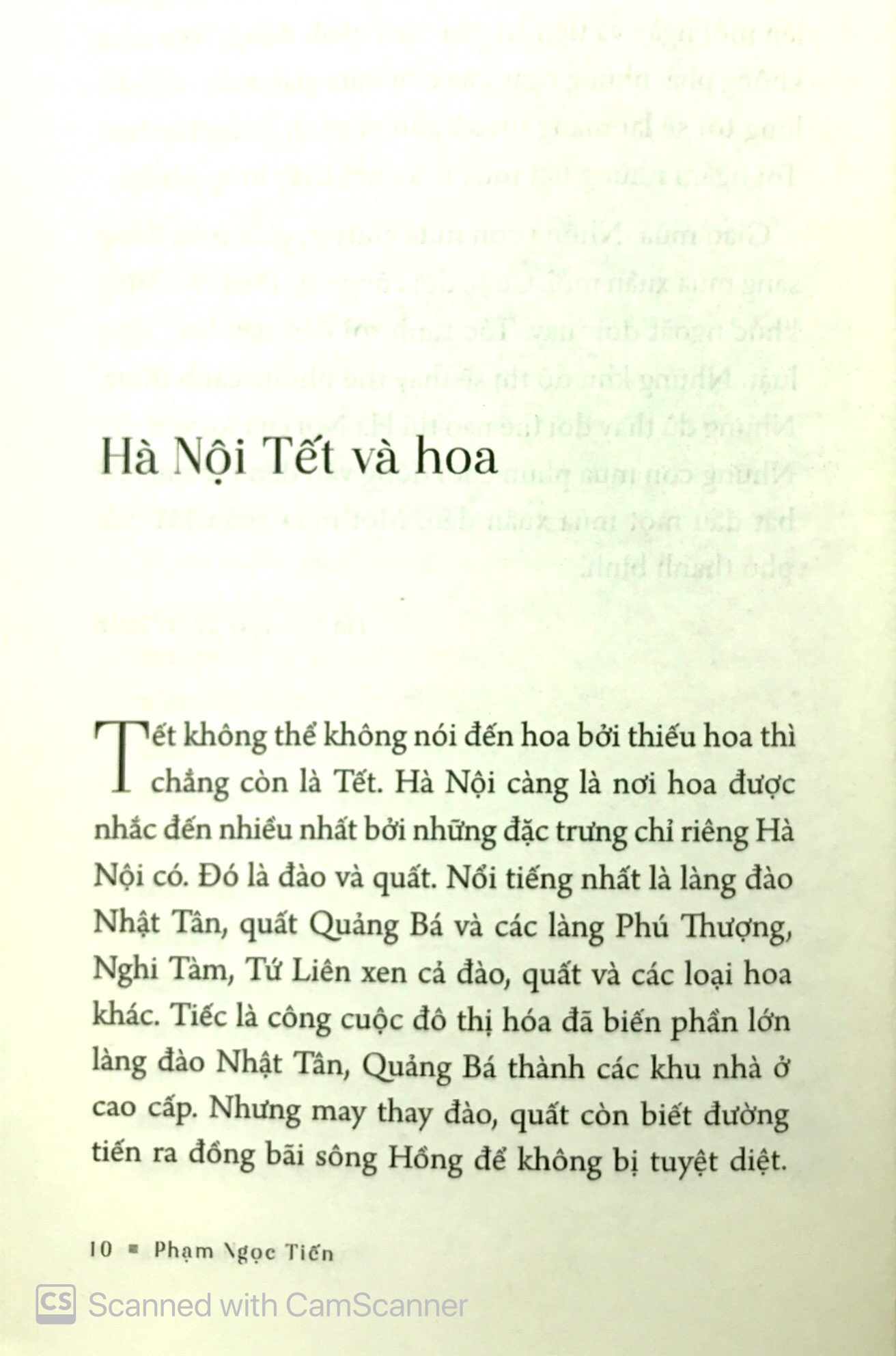 phố phở phố có nhà to - Ảnh 9