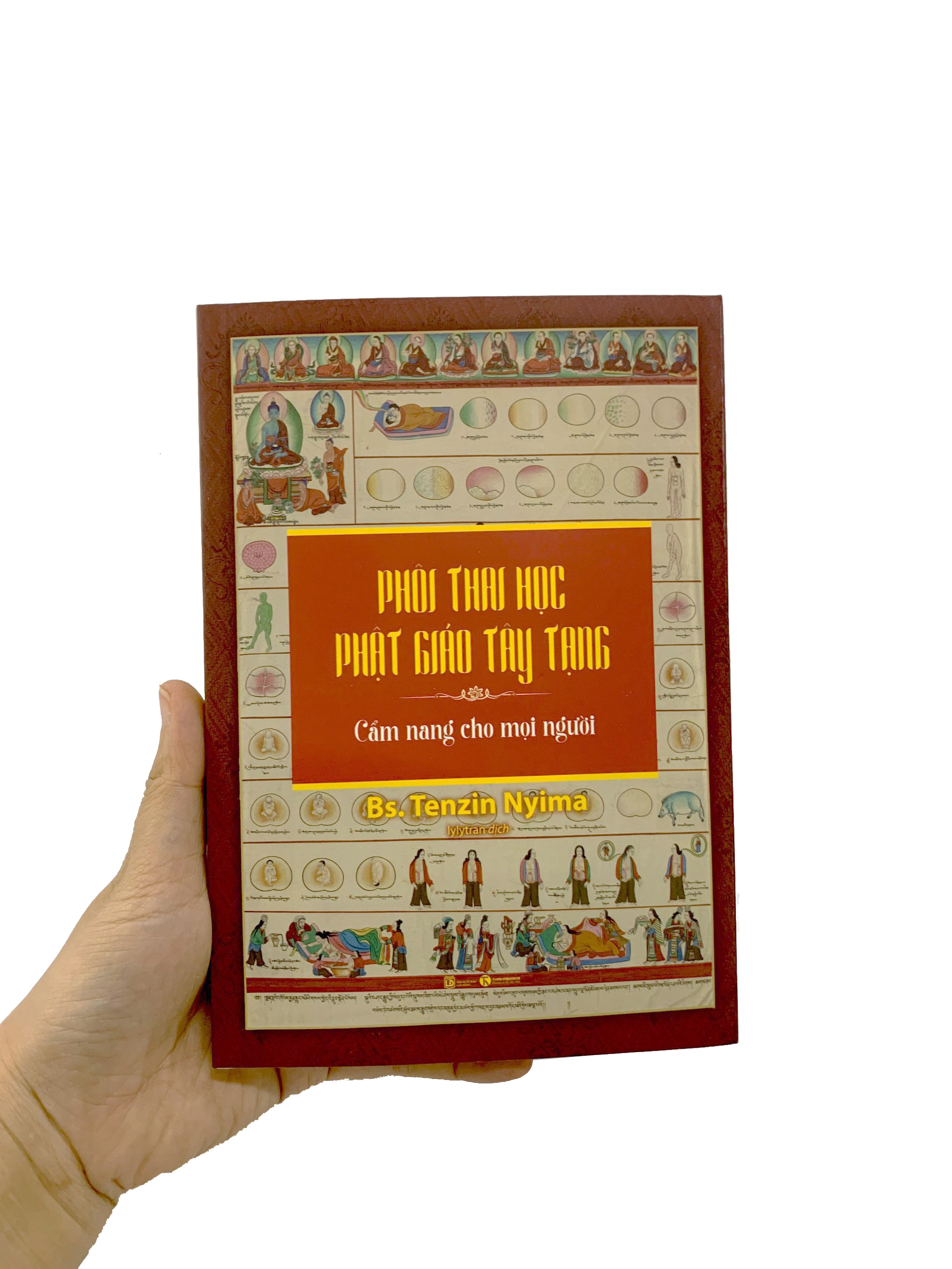 phôi thai học phật giáo tây tạng - Ảnh 10