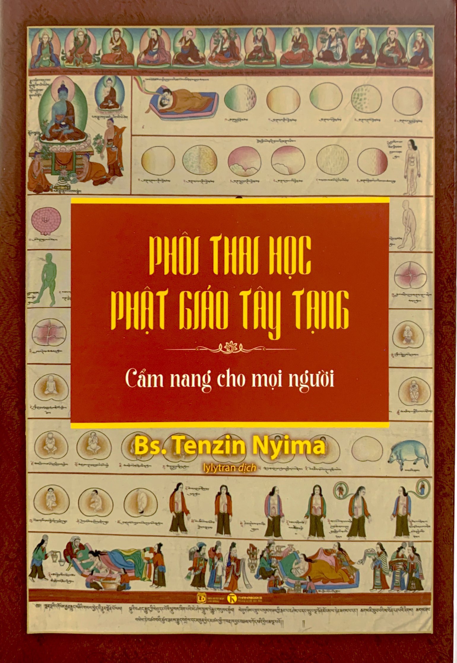 phôi thai học phật giáo tây tạng - Ảnh 2