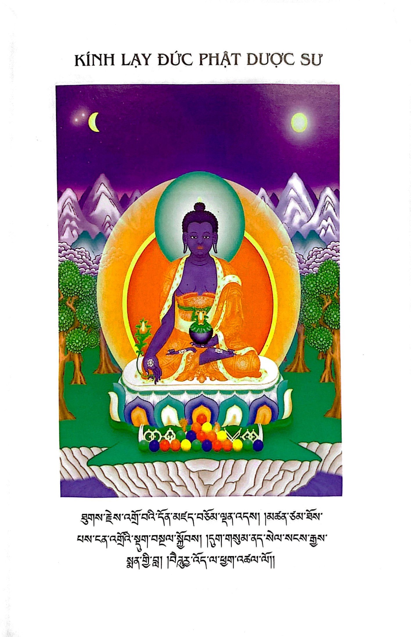 phôi thai học phật giáo tây tạng - Ảnh 7