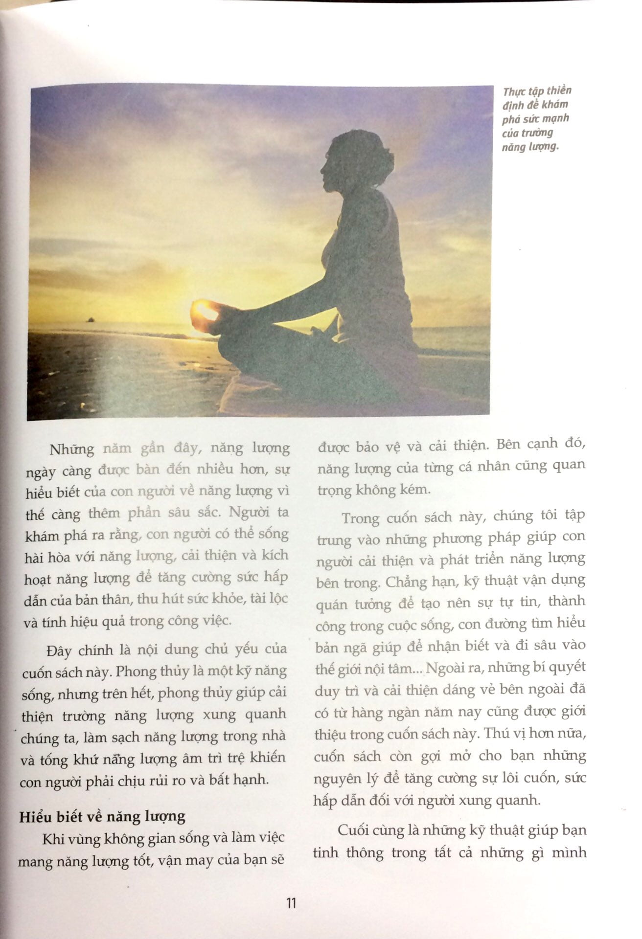 phong thủy - đem lại sức sống cho bạn - Ảnh 4