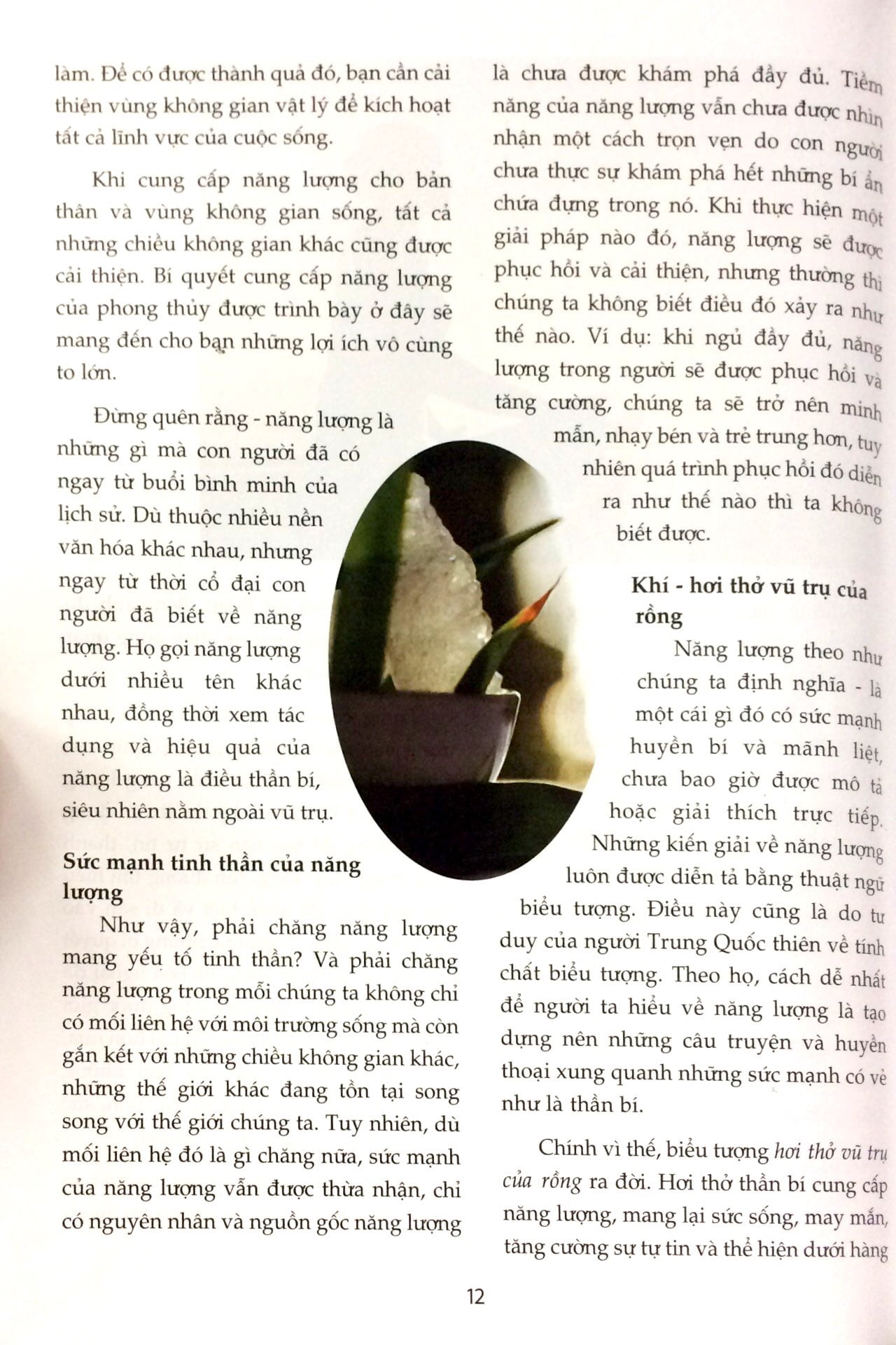 phong thủy - đem lại sức sống cho bạn - Ảnh 5