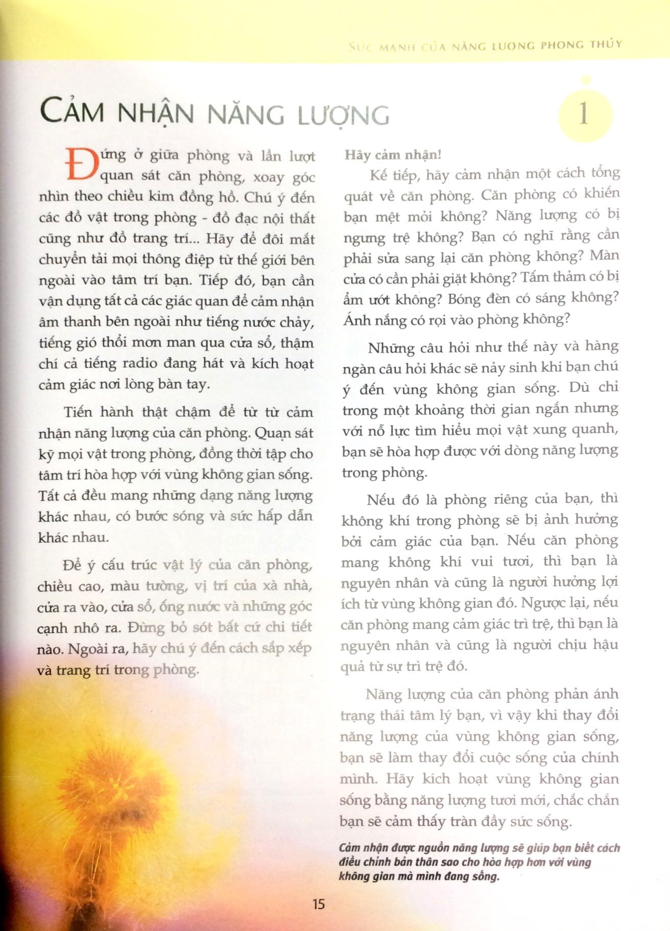 phong thủy - đem lại sức sống cho bạn - Ảnh 8