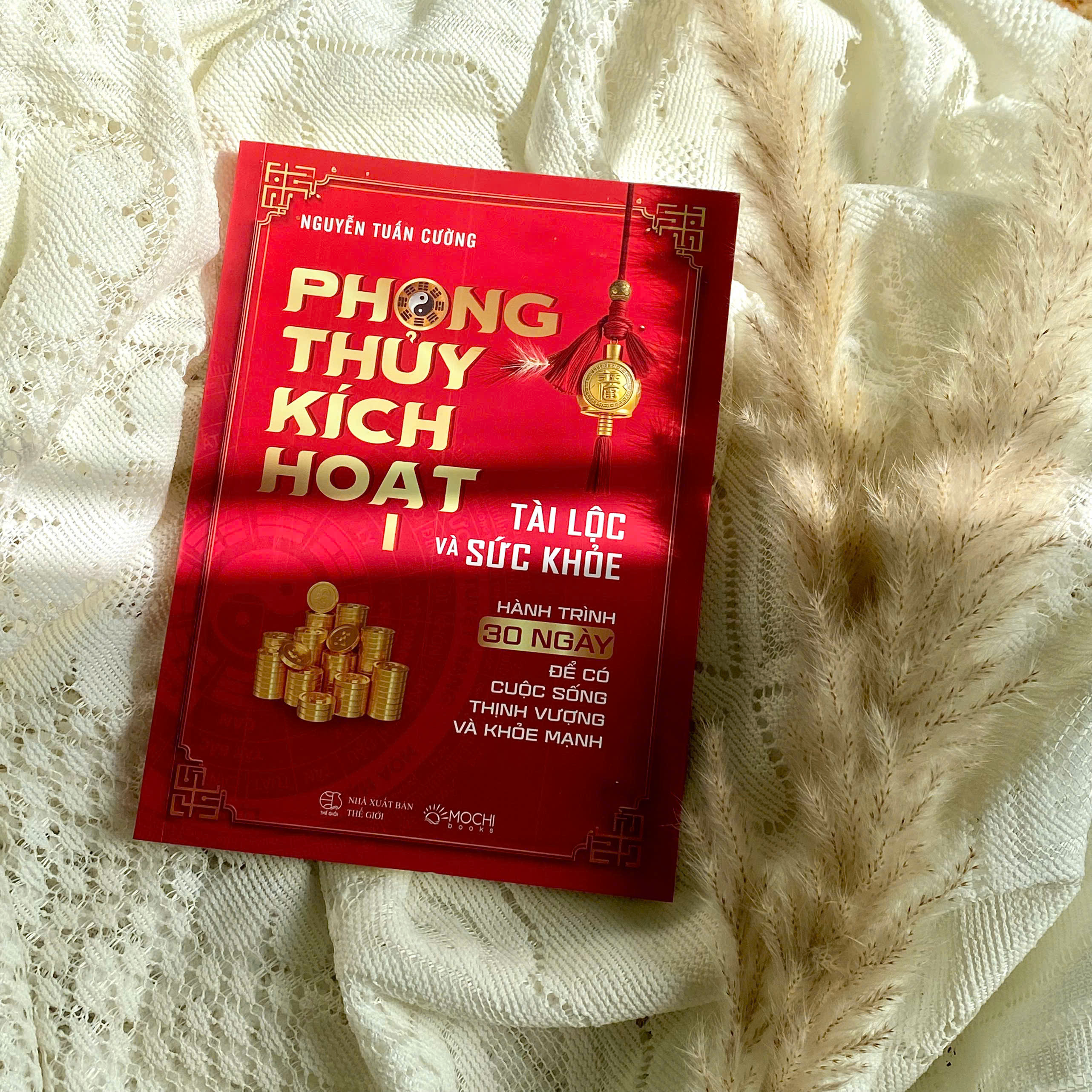 Phong Thuy Kich Hoat - Tap 1 - Tai Loc Va Suc Khoe - Hanh Trinh 30 Ngay De Co Cuoc Song Thinh Vuong Va Khoe Manh - Ảnh 2