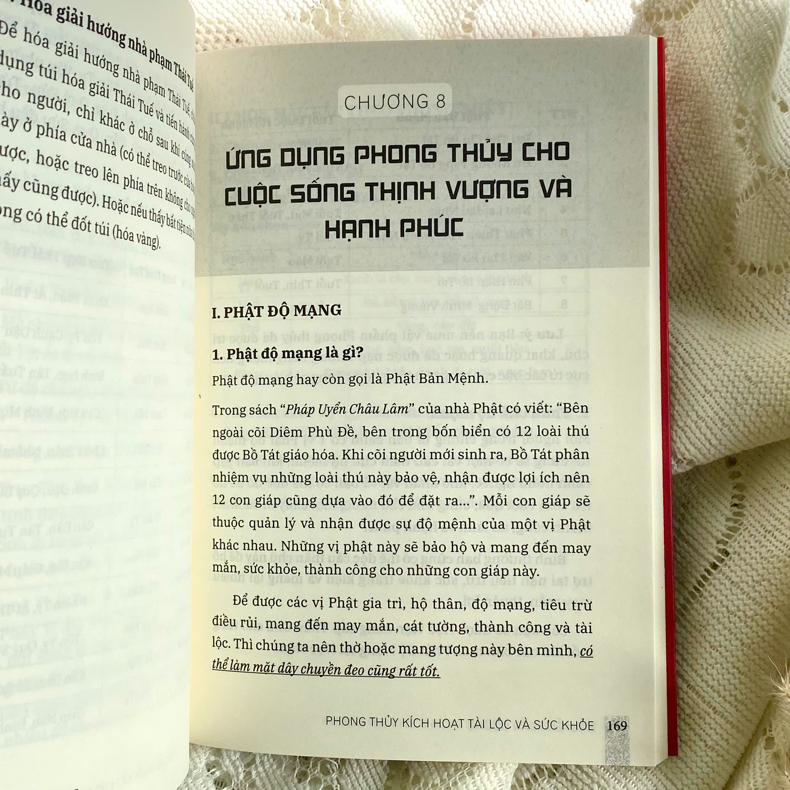 Phong Thuy Kich Hoat - Tap 1 - Tai Loc Va Suc Khoe - Hanh Trinh 30 Ngay De Co Cuoc Song Thinh Vuong Va Khoe Manh - Ảnh 6