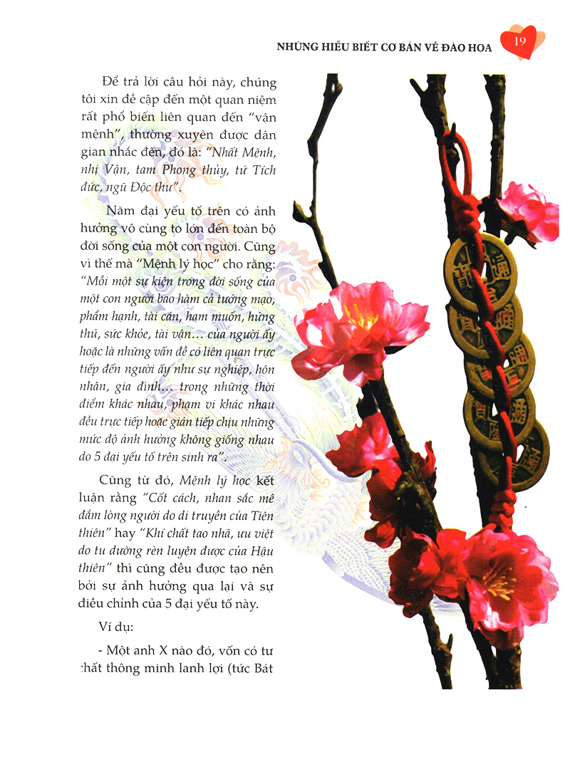 phong thủy trong nhân duyên - Ảnh 15