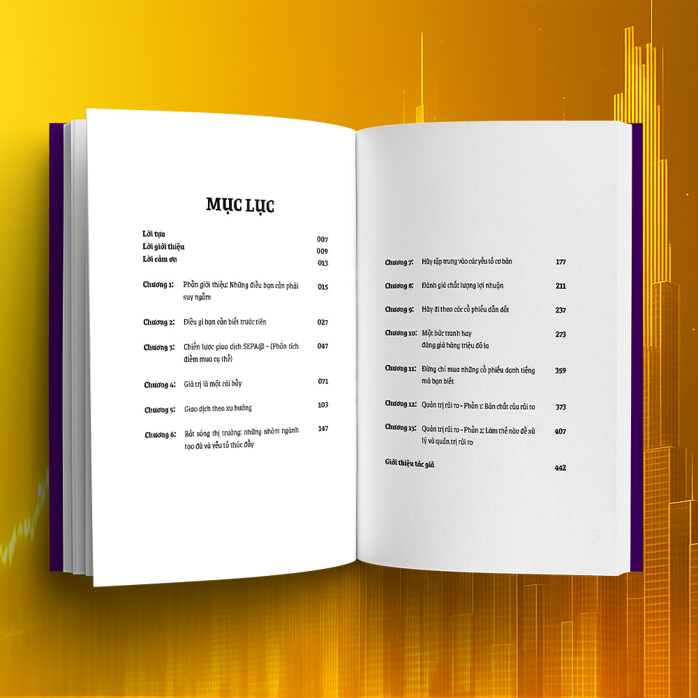 Phù Thuỷ Giao Dịch Chứng Khoán - Trade Like A Stock Market Wizard - Ảnh 2