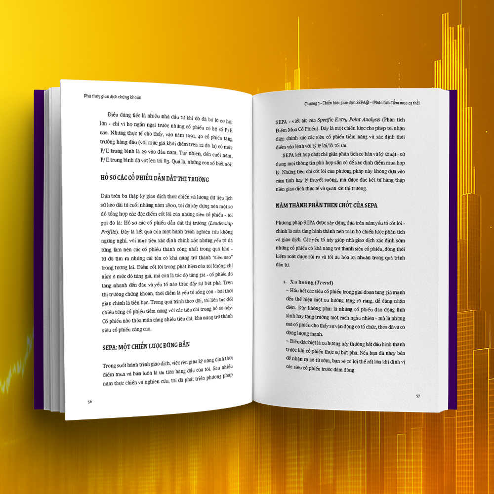 Phù Thuỷ Giao Dịch Chứng Khoán - Trade Like A Stock Market Wizard - Ảnh 3