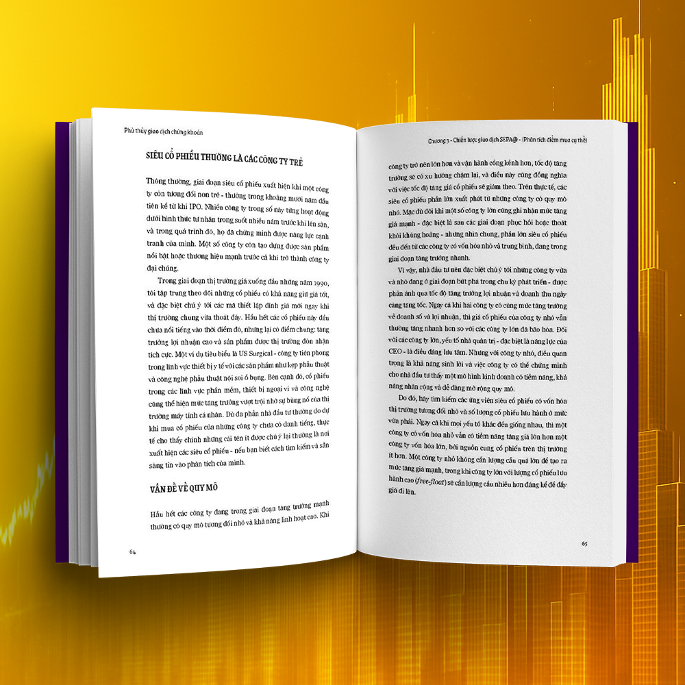 Phù Thuỷ Giao Dịch Chứng Khoán - Trade Like A Stock Market Wizard - Ảnh 6