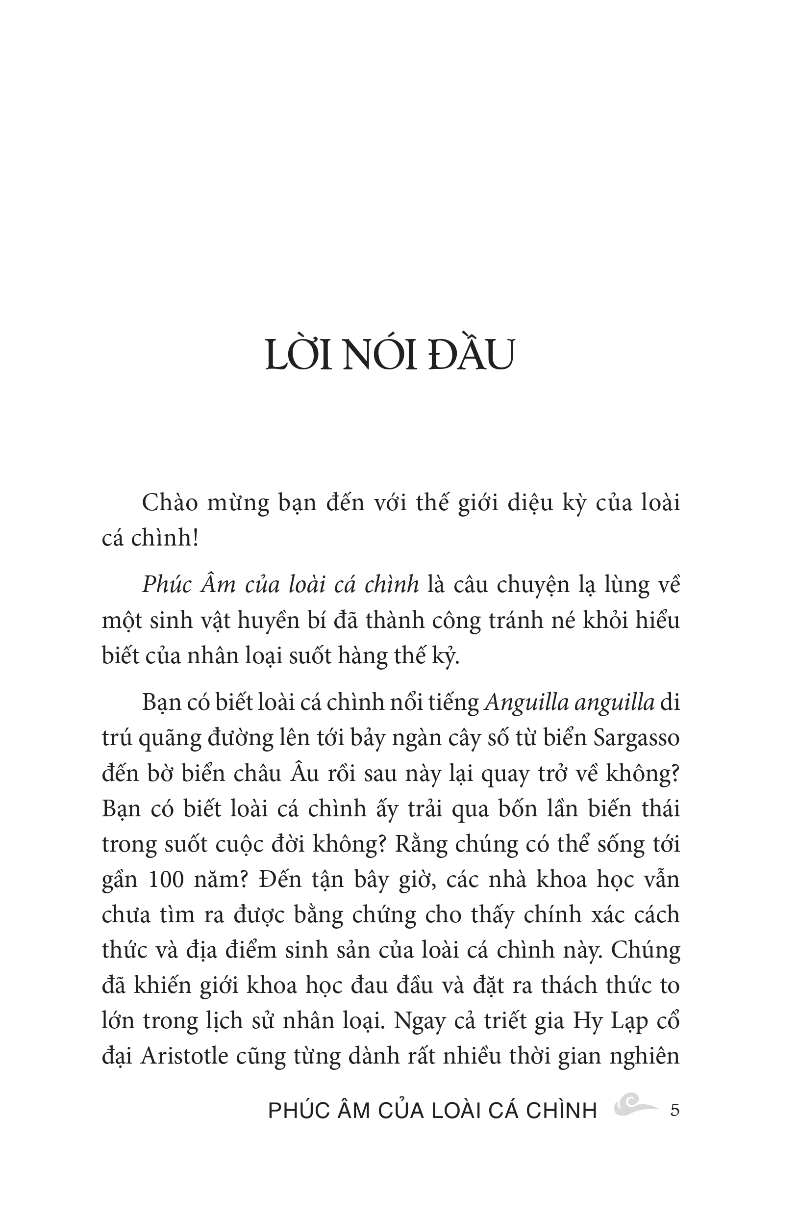 phúc âm của loài cá chình - Ảnh 4