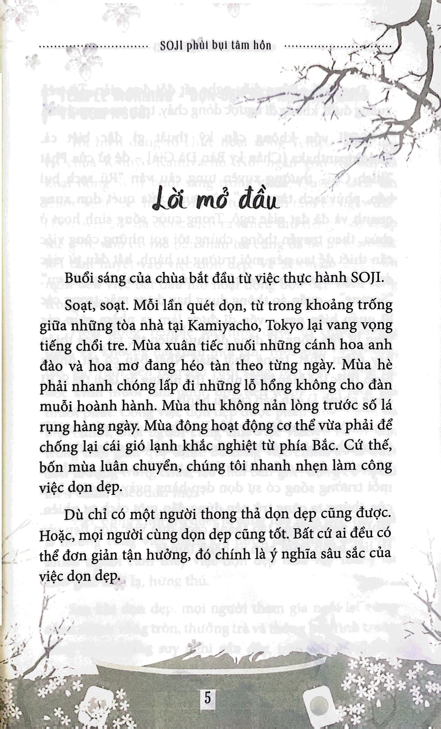 phủi bụi tâm hồn - Ảnh 5