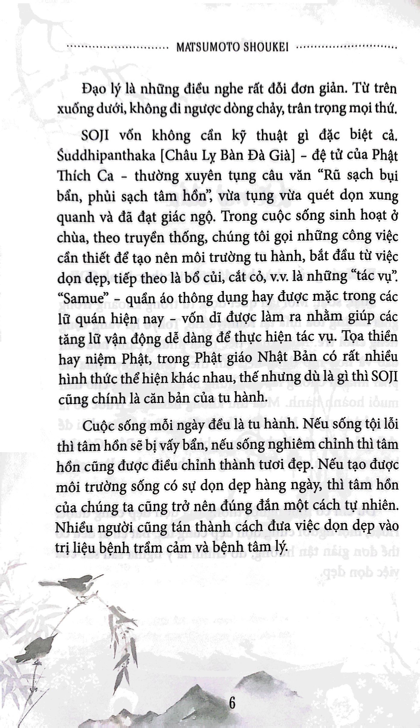 phủi bụi tâm hồn - Ảnh 6