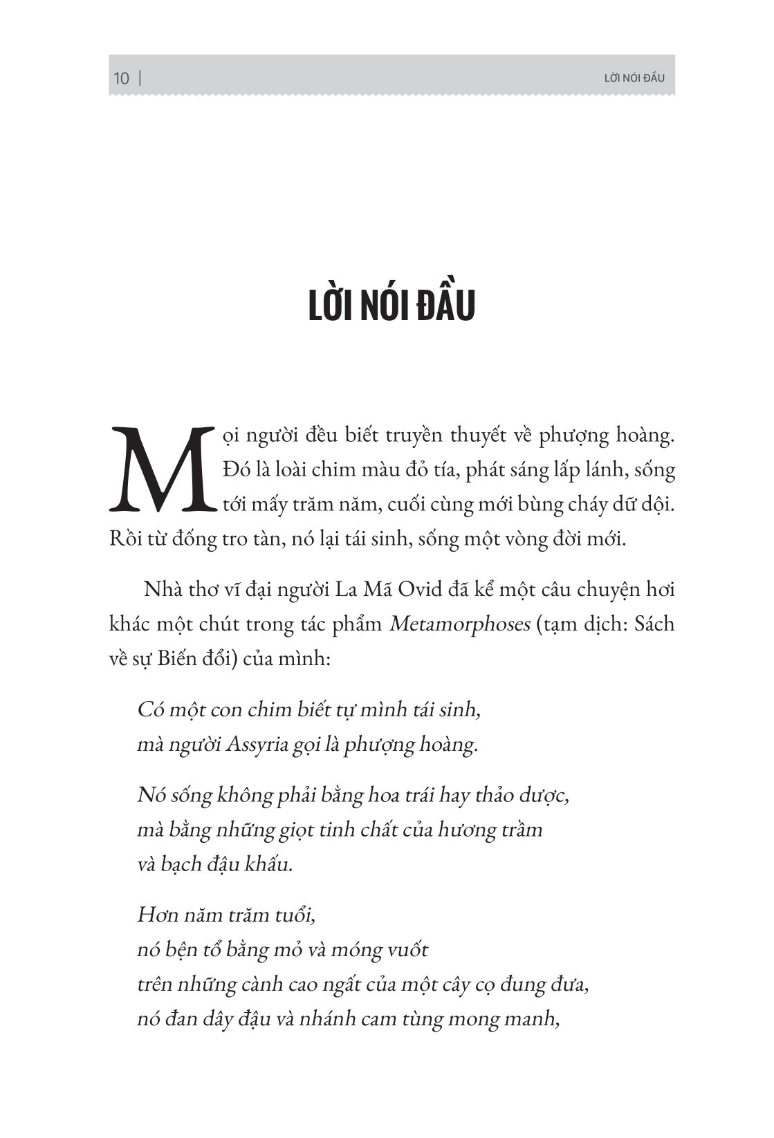 phượng hoàng tái sinh - 12 phẩm chất quan trọng để bứt phá sự nghiệp và cuộc sống - Ảnh 12
