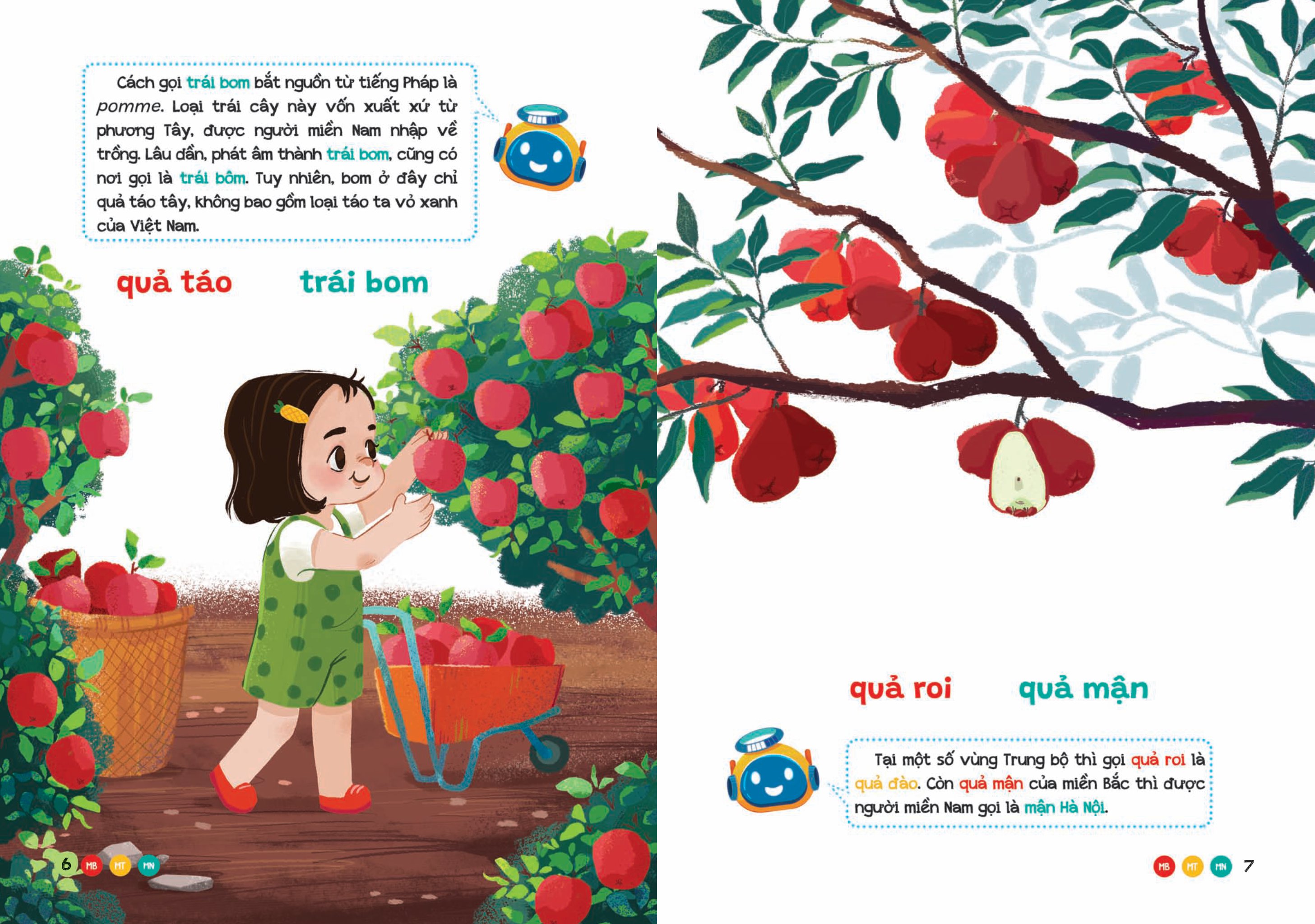 phương ngữ việt nam - từ vườn đến nông trại - từ vựng phong phú cho bé - Ảnh 3