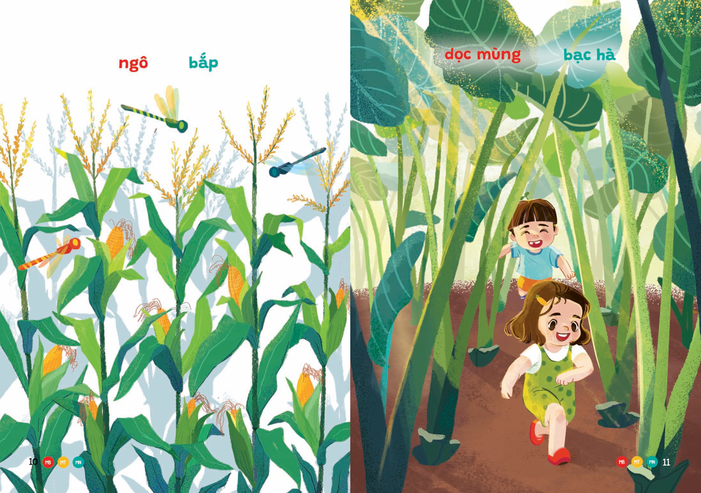 phương ngữ việt nam - từ vườn đến nông trại - từ vựng phong phú cho bé - Ảnh 5