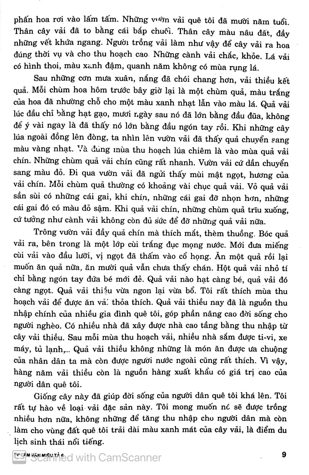 phương pháp làm văn miêu tả 6 (tái bản 2019) - Ảnh 10