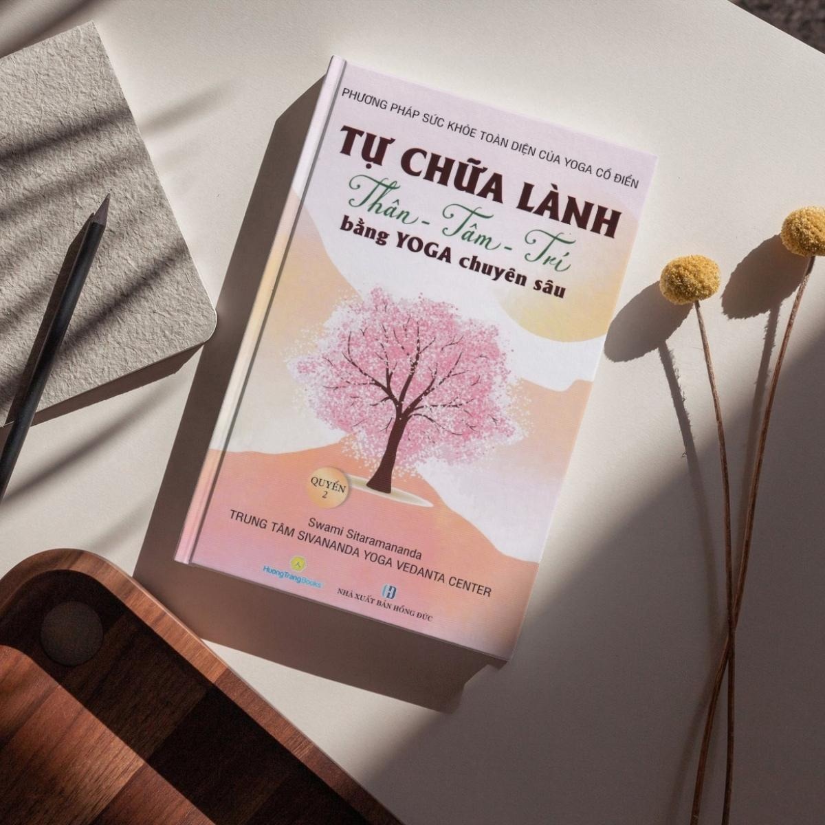 phương pháp sức khoẻ toàn diện của yoga cổ điển - tự chữa lành thân-tâm-trí bằng yoga chuyên sâu - quyển 2 - Ảnh 8