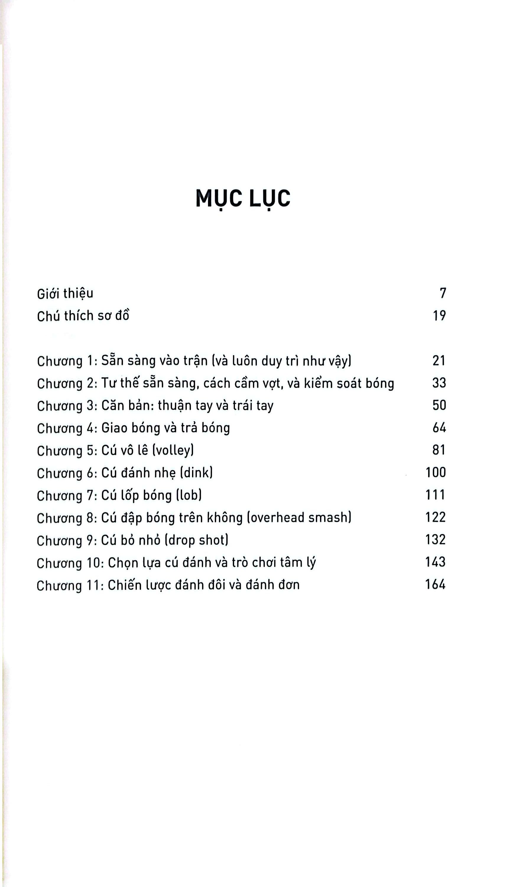 pickleball cho người mới bắt đầu - Ảnh 3