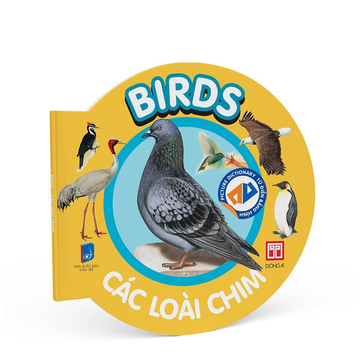 picture dictionary - từ điển bằng hình - birds - các loài chim - bìa cứng - Ảnh 2