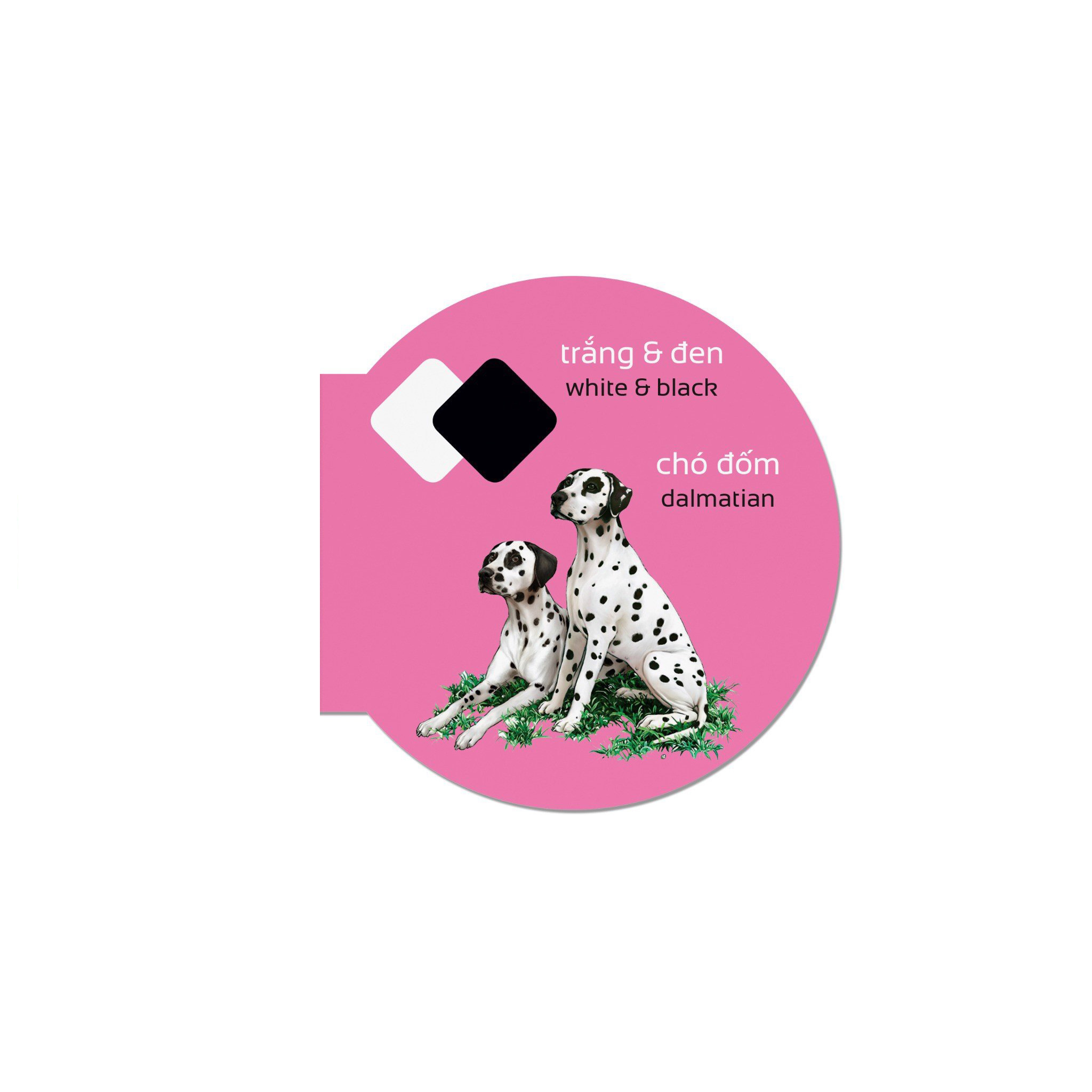 picture dictionary - từ điển bằng hình - colours - màu sắc - bìa cứng - Ảnh 4