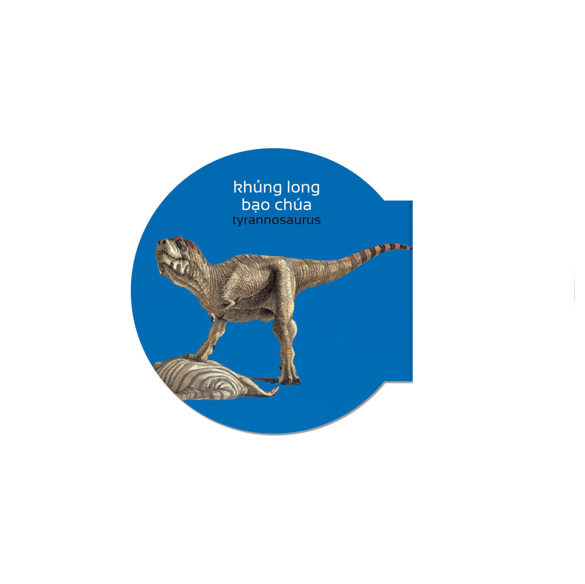 picture dictionary - từ điển bằng hình - dinosaurs - khủng long - bìa cứng - Ảnh 3