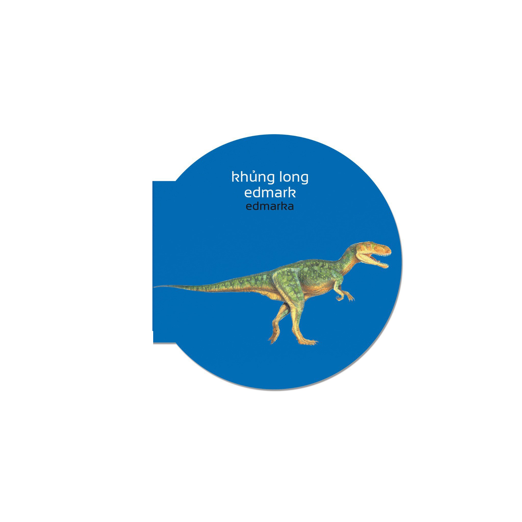 picture dictionary - từ điển bằng hình - dinosaurs - khủng long - bìa cứng - Ảnh 4