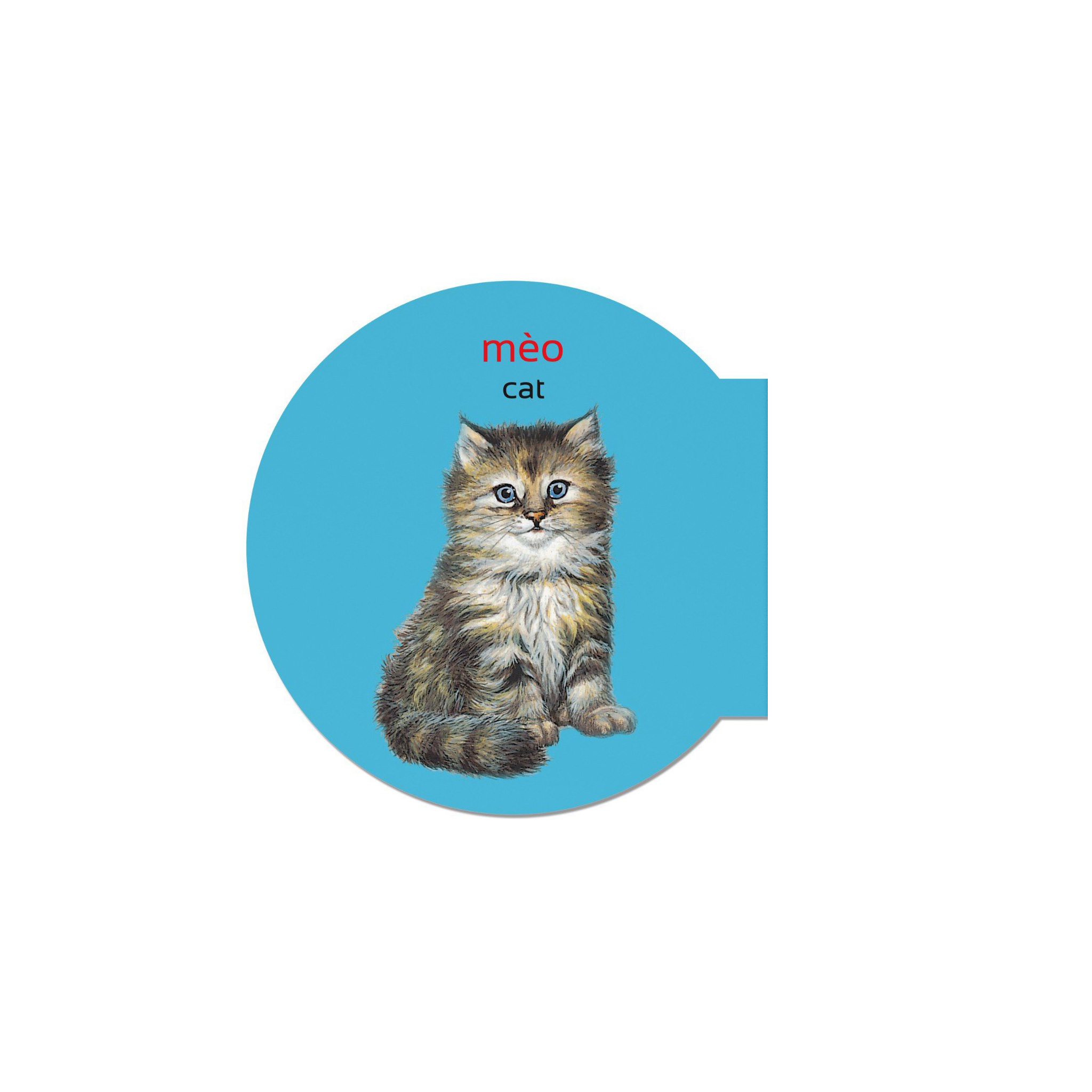 picture dictionary - từ điển bằng hình - domestic animals - động vật nuôi - bìa cứng (tái bản 2023) - Ảnh 3