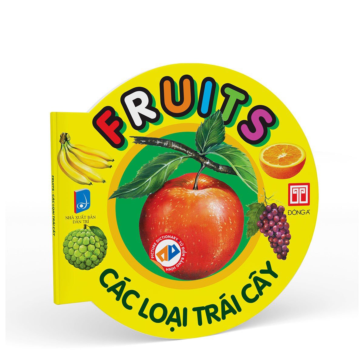 picture dictionary - từ điển bằng hình - fruits - các loại trái cây - bìa cứng (tái bản 2023) - Ảnh 2