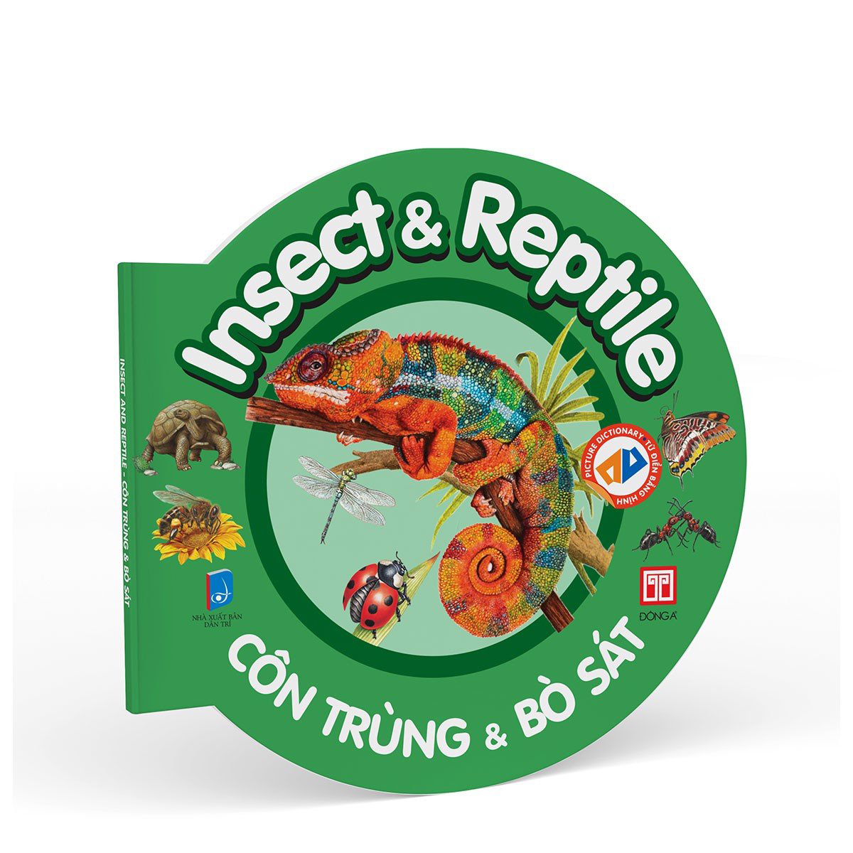 picture dictionary - từ điển bằng hình - insect and reptile - côn trùng và bò sát - bìa cứng - Ảnh 2