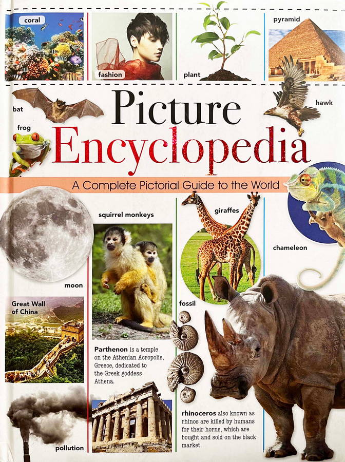 picture encyclopedia - Ảnh 2