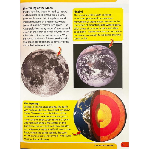 picture encyclopedia - Ảnh 4