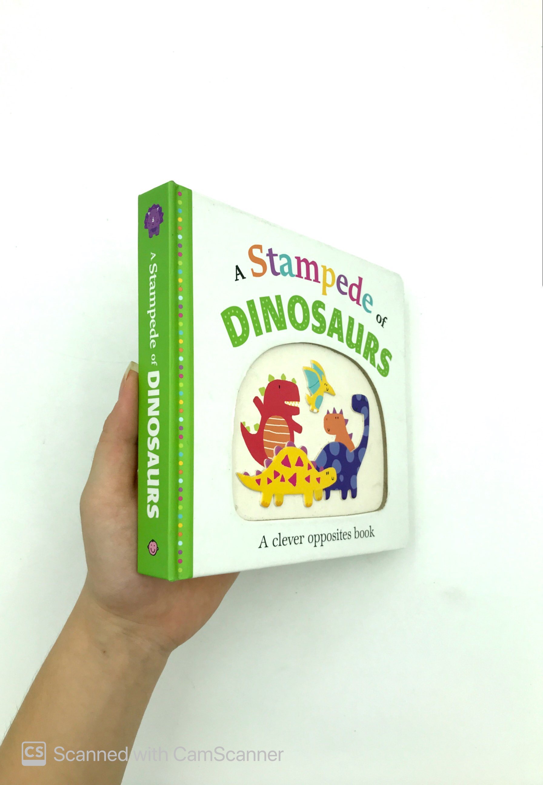 picture fit: a stampede of dinosaurs - Ảnh 10