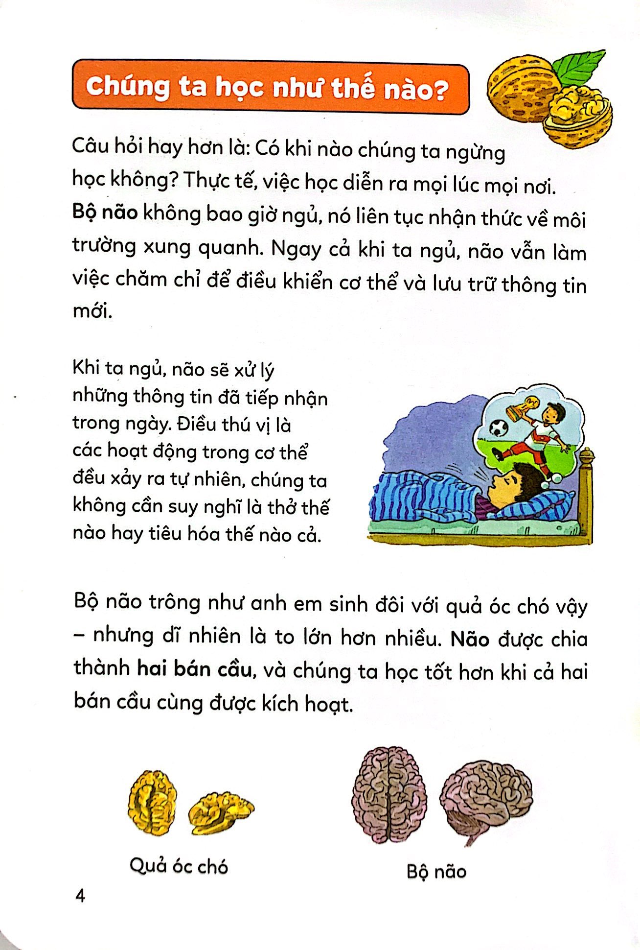 pixi thông thái - bí kíp học tập - Ảnh 3