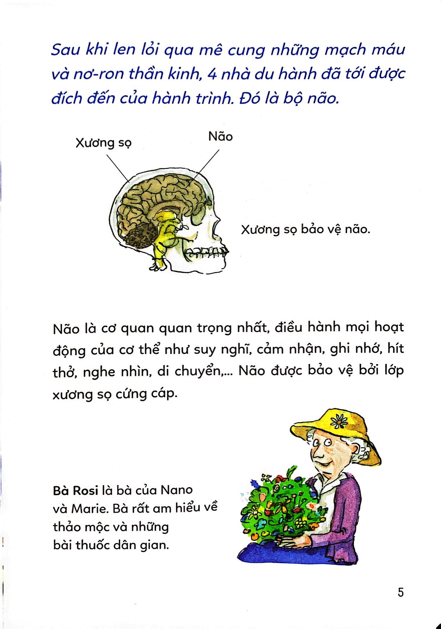 pixi thông thái - cơ thể diệu kỳ - Ảnh 7